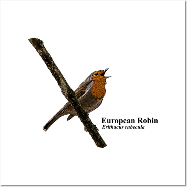 Birding European Robin Wall Art by Birding_by_Design